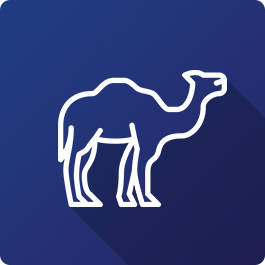 Camel icon