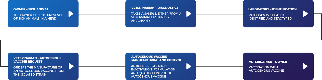 Vaccine development