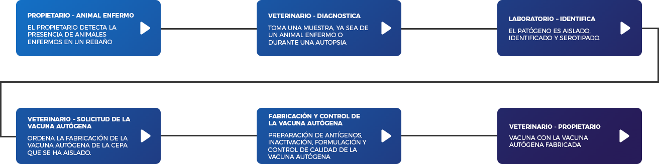 Desarrollo de Vacunas